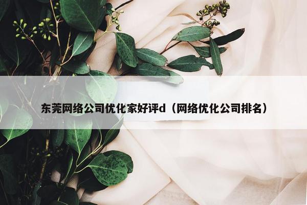 东莞网络公司优化家好评d（网络优化公司排名）