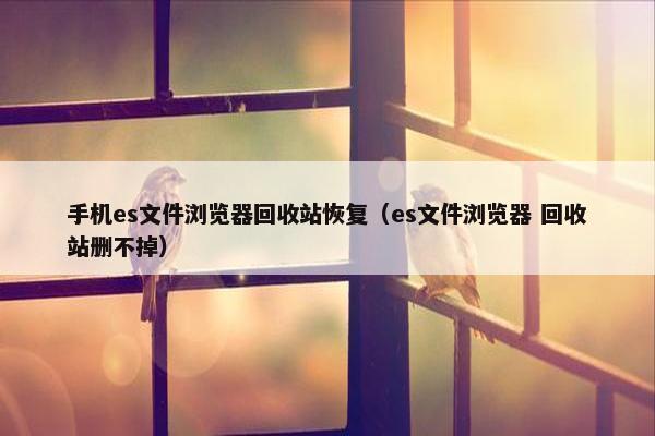 手机es文件浏览器回收站恢复（es文件浏览器 回收站删不掉）