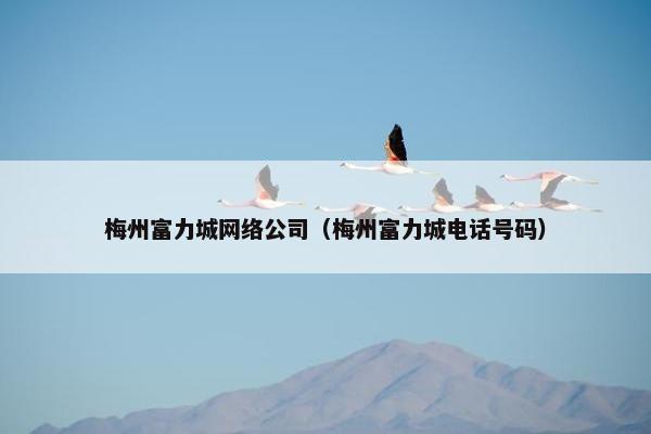 梅州富力城网络公司（梅州富力城电话号码）