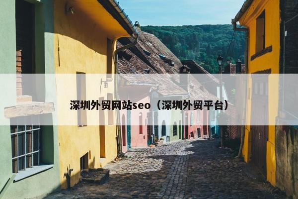 深圳外贸网站seo（深圳外贸平台）