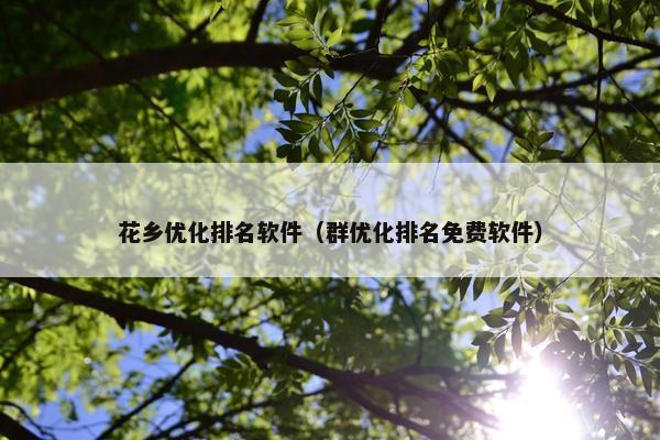 花乡优化排名软件（群优化排名免费软件）