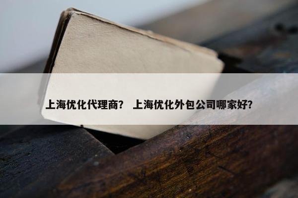 上海优化代理商？ 上海优化外包公司哪家好？