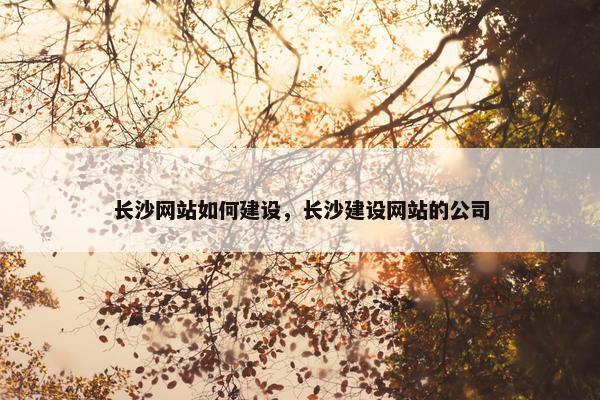 长沙网站如何建设，长沙建设网站的公司