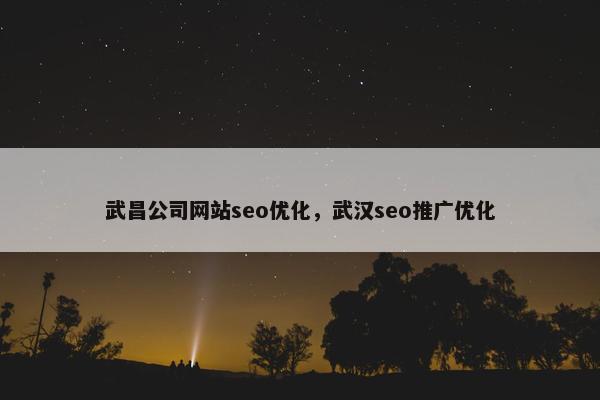 武昌公司网站seo优化，武汉seo推广优化