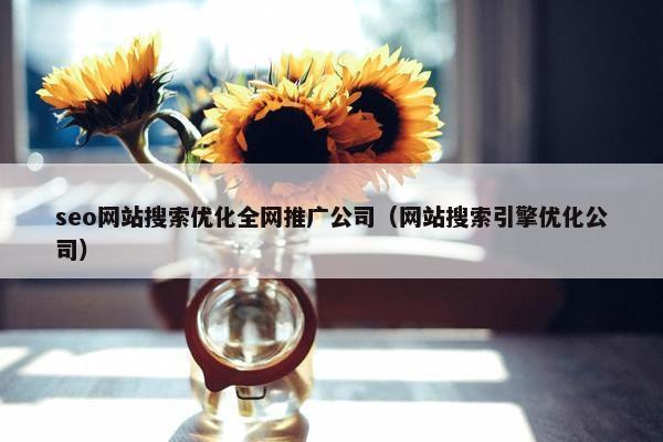 seo网站搜索优化全网推广公司（网站搜索引擎优化公司）