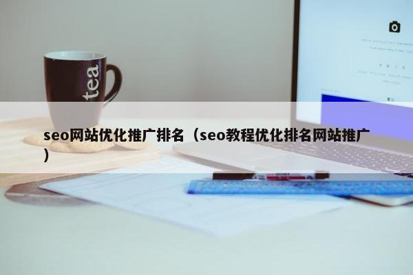 seo网站优化推广排名（seo教程优化排名网站推广）