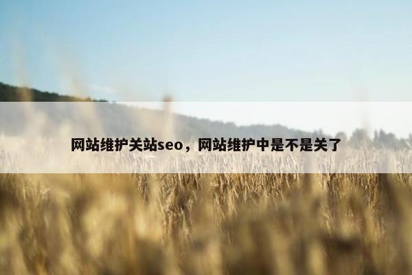 网站维护关站seo，网站维护中是不是关了