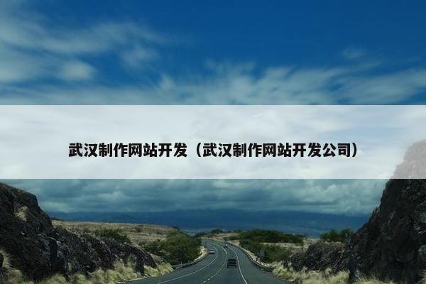 武汉制作网站开发（武汉制作网站开发公司）