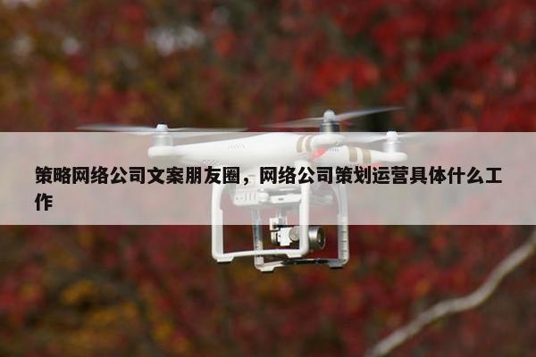 策略网络公司文案朋友圈，网络公司策划运营具体什么工作