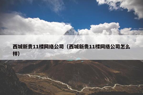 西城新贵11楼网络公司（西城新贵11楼网络公司怎么样）