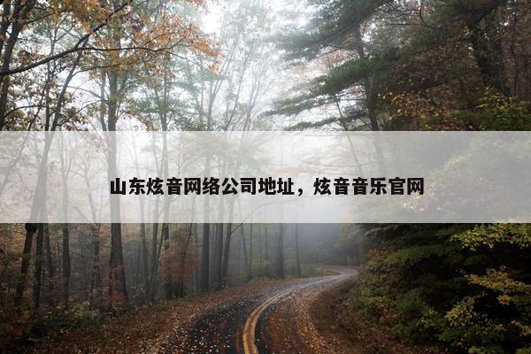 山东炫音网络公司地址，炫音音乐官网