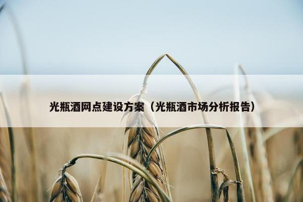 光瓶酒网点建设方案（光瓶酒市场分析报告）