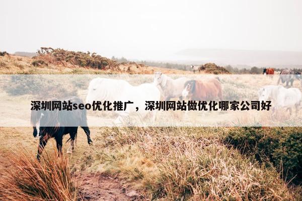 深圳网站seo优化推广，深圳网站做优化哪家公司好