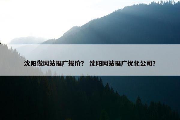 沈阳做网站推广报价？ 沈阳网站推广优化公司？