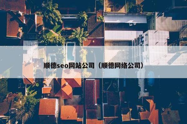 顺德seo网站公司（顺德网络公司）