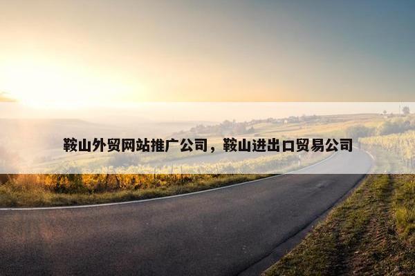 鞍山外贸网站推广公司，鞍山进出口贸易公司