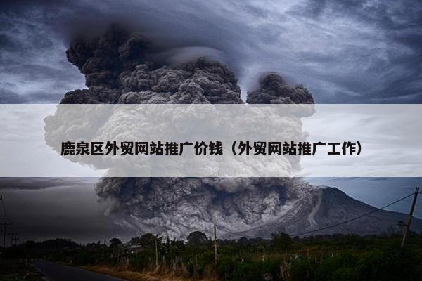 鹿泉区外贸网站推广价钱（外贸网站推广工作）