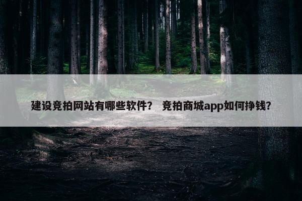 建设竞拍网站有哪些软件？ 竞拍商城app如何挣钱？