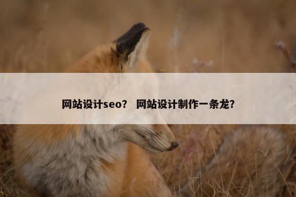 网站设计seo？ 网站设计制作一条龙？
