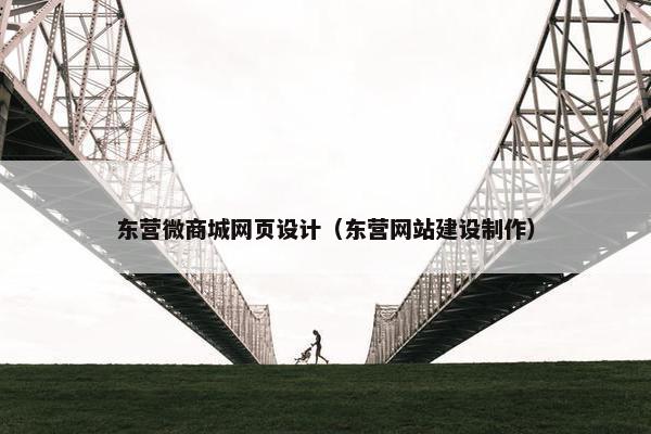 东营微商城网页设计（东营网站建设制作）