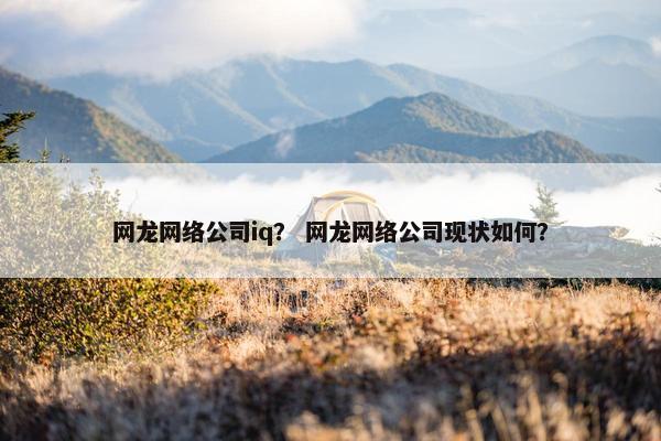 网龙网络公司iq？ 网龙网络公司现状如何？