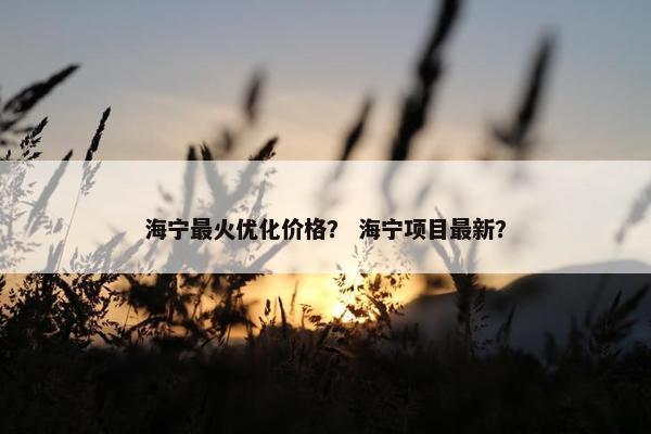 海宁最火优化价格？ 海宁项目最新？