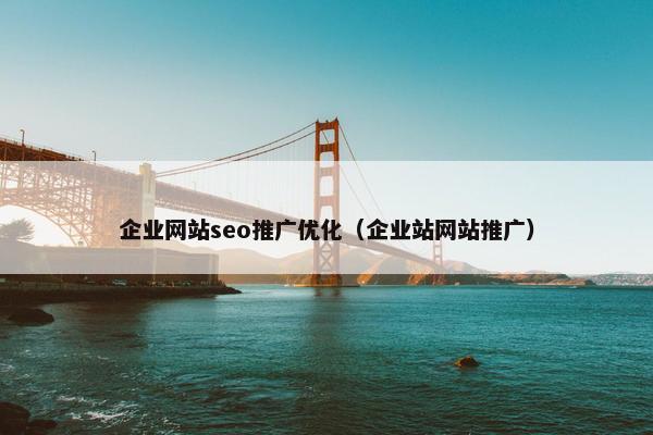 企业网站seo推广优化（企业站网站推广）