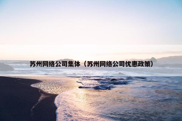 苏州网络公司集体（苏州网络公司优惠政策）
