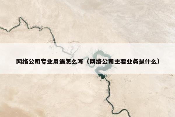 网络公司专业用语怎么写（网络公司主要业务是什么）