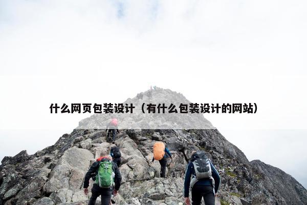 什么网页包装设计（有什么包装设计的网站）