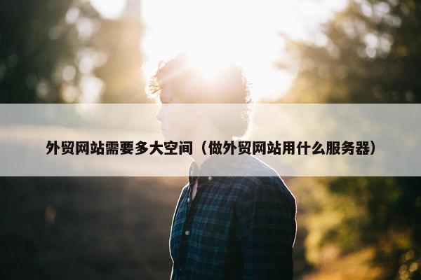 外贸网站需要多大空间（做外贸网站用什么服务器）