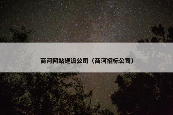 商河网站建设公司（商河招标公司）