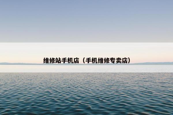 维修站手机店（手机维修专卖店）
