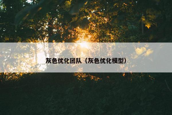 灰色优化团队（灰色优化模型）