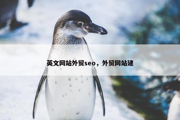 英文网站外贸seo，外贸网站建