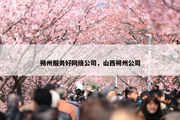 朔州服务好网络公司，山西朔州公司