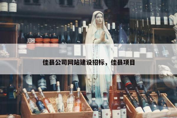 佳县公司网站建设招标，佳县项目