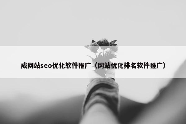 成网站seo优化软件推广（网站优化排名软件推广）