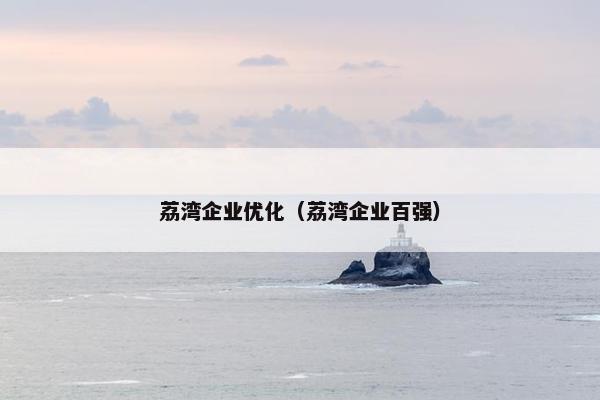 荔湾企业优化（荔湾企业百强）