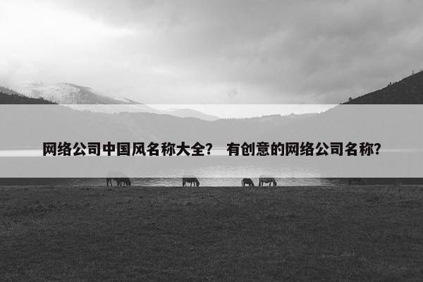 网络公司中国风名称大全？ 有创意的网络公司名称？