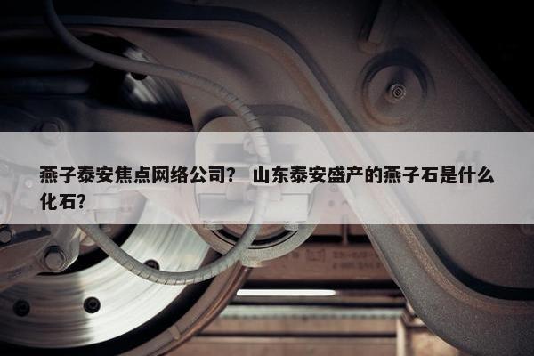 燕子泰安焦点网络公司？ 山东泰安盛产的燕子石是什么化石？