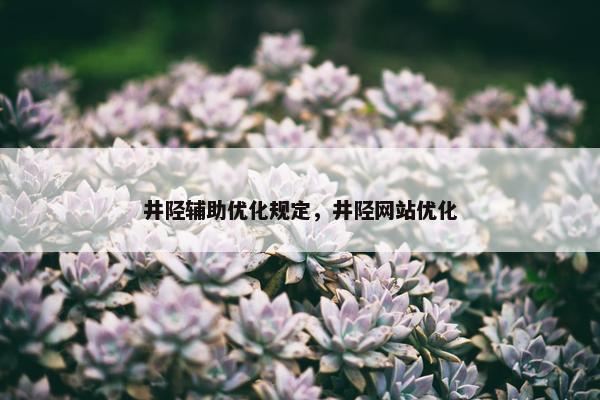 井陉辅助优化规定，井陉网站优化