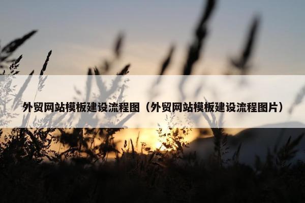 外贸网站模板建设流程图（外贸网站模板建设流程图片）