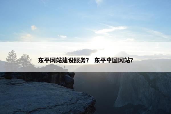东平网站建设服务？ 东平中国网站？
