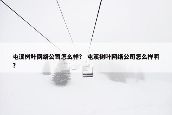 屯溪树叶网络公司怎么样？ 屯溪树叶网络公司怎么样啊？