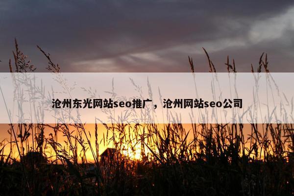 沧州东光网站seo推广，沧州网站seo公司
