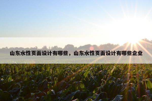 山东水性页面设计有哪些，山东水性页面设计有哪些企业