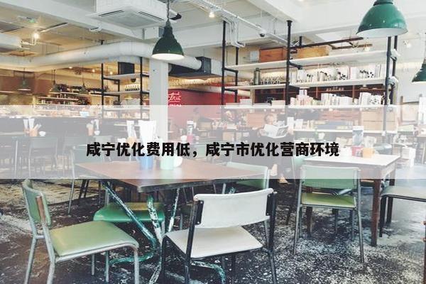 咸宁优化费用低，咸宁市优化营商环境