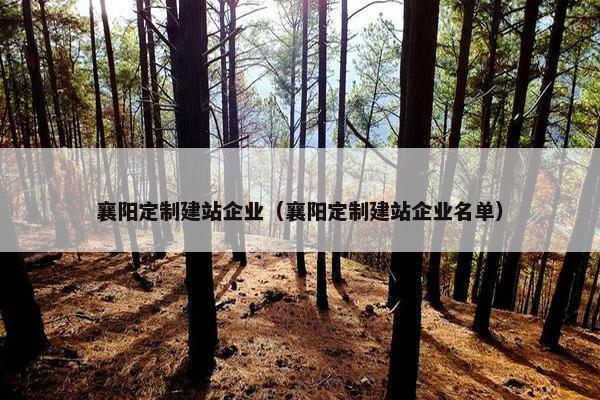 襄阳定制建站企业（襄阳定制建站企业名单）
