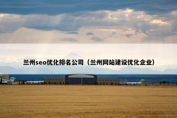 兰州seo优化排名公司（兰州网站建设优化企业）